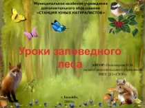 Презентация занятия на тему Уроки заповедного леса