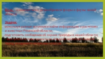 Луга Рязанской области.