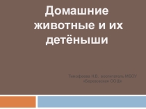 Домашние животные и их детёныши