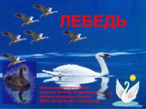 Презентация по изобразительному искусству на тему  Лебедь ( 2 класс)