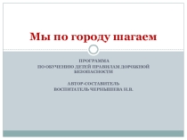 Презентация программы Мы по городу шагаем
