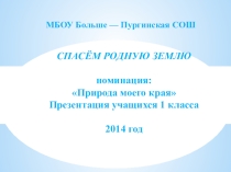 Экология родного края. Спасём родную землю