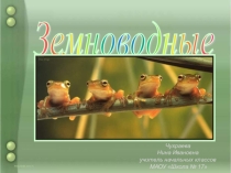 Презентация по окружающему миру на тему Земноводные (2 класс)