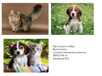 Презентация по окружающему миру на тему Про кошек и собак