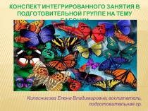 Презентация по окружающему миру на тему: Бабочки