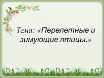 Презентация урока по развитию устной речи. Тема: Перелетные и зимующие птицы/