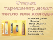 Презентация проекта по окружающему миру Откуда термометр знает тепло или холодно