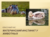 Презентация к классному часу 5-8 классах