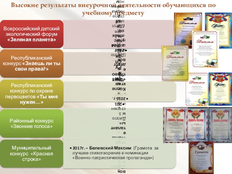 Публичная презентация результатов педагогической деятельности Высокие результаты внеурочной деятельности обучающихся по учебному предмету Высокие результаты внеурочной деятельности обучающихся по учебному предмету