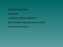 Презентация по географии на тему:Экологическая галерея