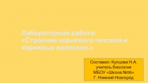 Презентация к лабораторной работе:Строение корневого чехлика и корневого волоска.