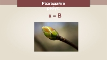 Презентация по познанию мира на тему Почва. Состав почвы (4 класс)