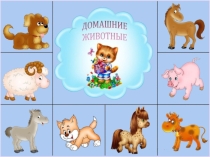 Презентация к конспекту домашние животные
