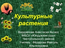 Презентация по окружающему миру