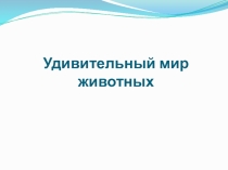 Презентация Удивительный мир животных