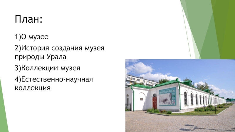 Внеурочное занятие. Музей природы Урала. 3 класс План:1)О музее2)История создания музея природы Урала3)Коллекции музея4)Естественно-научная коллекция План:1)О музее2)История создания музея природы Урала3)Коллекции музея4)Естественно-научная коллекция