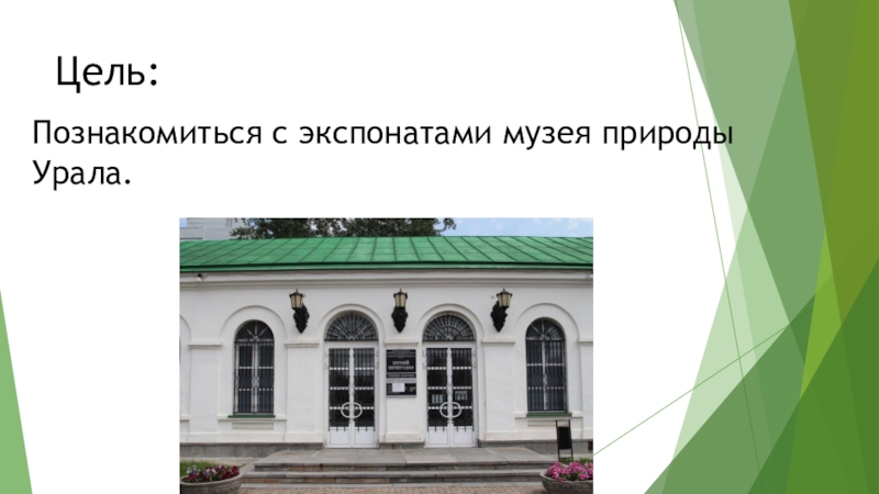 Внеурочное занятие. Музей природы Урала. 3 класс Цель:Познакомиться с экспонатами музея природы Урала. Цель:Познакомиться с экспонатами музея природы Урала.