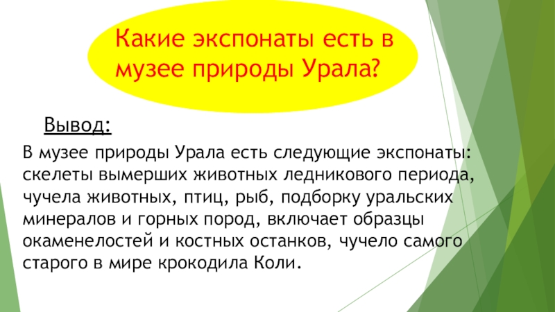Внеурочное занятие. Музей природы Урала. 3 класс Какие экспонаты есть в музее природы Урала?В музее природы Урала есть Какие экспонаты есть в музее природы Урала?В музее природы Урала есть следующие экспонаты: скелеты вымерших животных ледникового