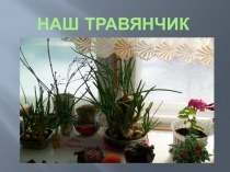 Презентация по экологическому образованию Наш Травянчик