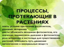 Презентация по биологии на тему Процессы, протекающие в растении