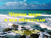 Чёрное море и его обитатели