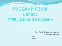 Презентация по русскому языку на тему Парные звонкие и глухие согласные