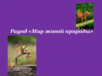 Разработка викторины на тему Что? Где? Когда?