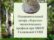 Отчет о работе летнего оздоровительного лагеря экологического профиля Березка