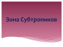 Презентация по географии  Зона Субтропиков