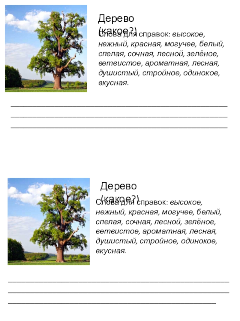 Употребление имен прилагательных в речи. 2 класс Дерево (какое?)Слова для справок: высокое, нежный, красная, могучее, белый, спелая, сочная, Дерево (какое?)Слова для справок: высокое, нежный, красная, могучее, белый, спелая, сочная, лесной, зелёное, ветвистое, ароматная, лесная, душистый,