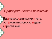 Презентация по русскому языку Суффиксы( 5 класс)