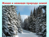 Живая и неживая природа зимой
