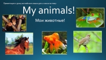 Презентация по английскому языку на тему My animals (2 класс)