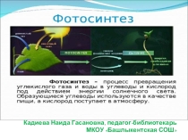 Фотосинтез - один из важнейших биологических процессов