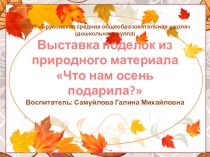 Выставка поделок из природного материала Что нам осень подарила