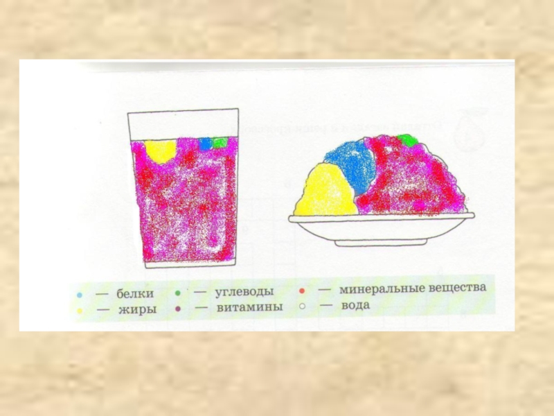 Молоко и молочные продукты