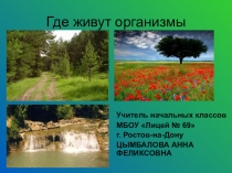 Презентация по окружающему миру на тему Где живут организмы (1 класс)