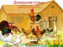 Презентация по теме Домашние птицы