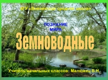 Презентация по познанию мира Земноводные