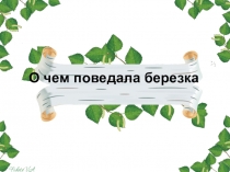 Презентация О чем поведала береза..