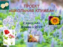 Презентация для классных руководителей. Проект Школьная клумба