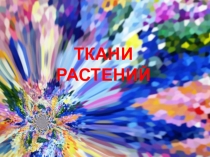 Презентация по биологии на тему Ткани растений