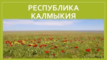Презентация Калмыки - степной народ
