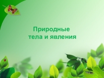 Презентация Природные тела и явления