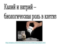 Презентация к уроку Щелочные металлы