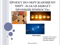 Проект Какая бывает промышленность