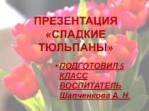 Презентация по эстетическому направлению Сладкие тюльпаны