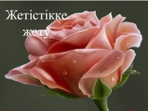 Жетістікке жету