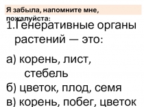 Презентация по биологии на тему Двойное оплодотворение у цветковых растений (6 класс)