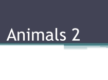 Презентация по английскому языку на тему Animals 2